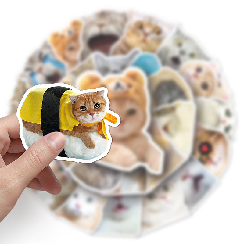 Funny Cats Emoji Stickers 50pcs Vinyl Waterproof Sticker