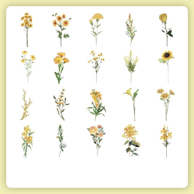 FREE TODAY: 40Pcs Natural Museum Scrapbook Stickers Flowers Plants Insect Bird Mushroom