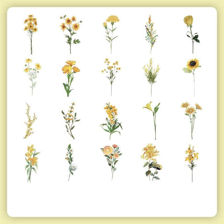 FREE TODAY: 40Pcs Natural Museum Scrapbook Stickers Flowers Plants Insect Bird Mushroom