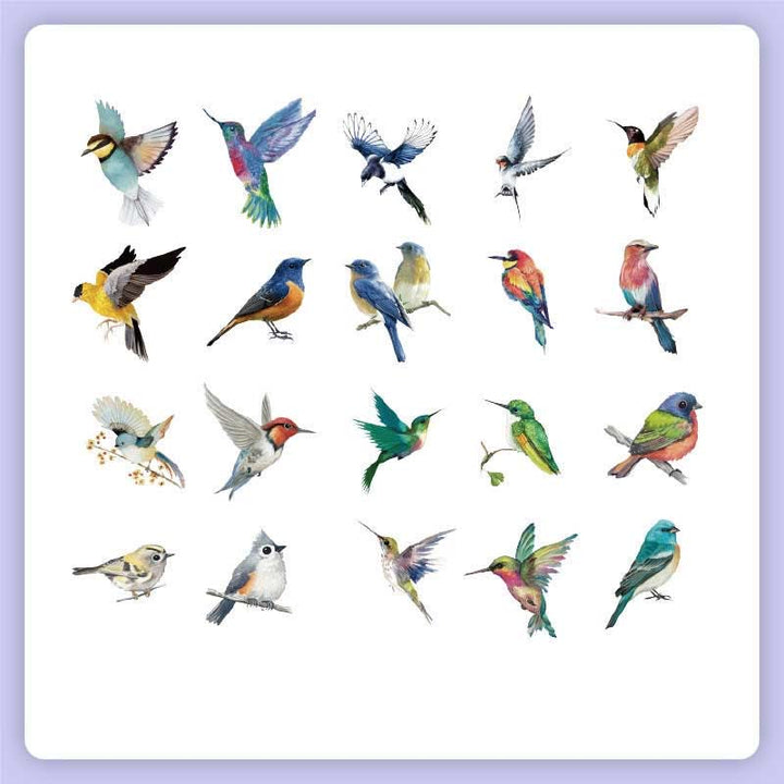 FREE TODAY: 40Pcs Natural Museum Scrapbook Stickers Flowers Plants Insect Bird Mushroom