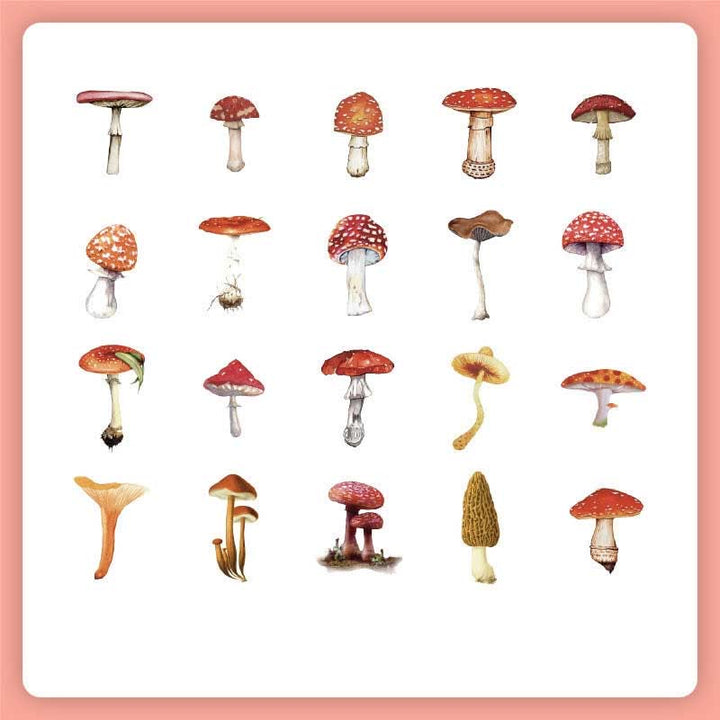 FREE TODAY: 40Pcs Natural Museum Scrapbook Stickers Flowers Plants Insect Bird Mushroom