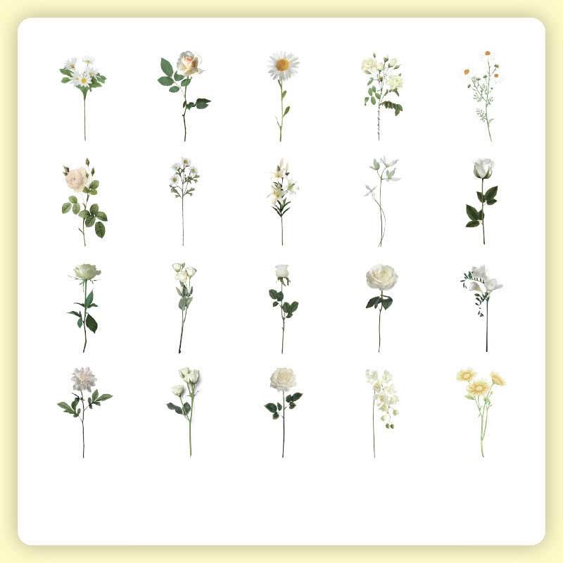 FREE TODAY: 40Pcs Natural Museum Scrapbook Stickers Flowers Plants Insect Bird Mushroom