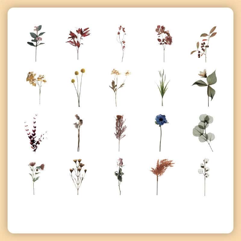 FREE TODAY: 40Pcs Natural Museum Scrapbook Stickers Flowers Plants Insect Bird Mushroom