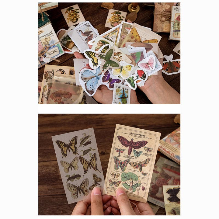 Vintage Memory Room Sticker Set Decorative Backing Paper