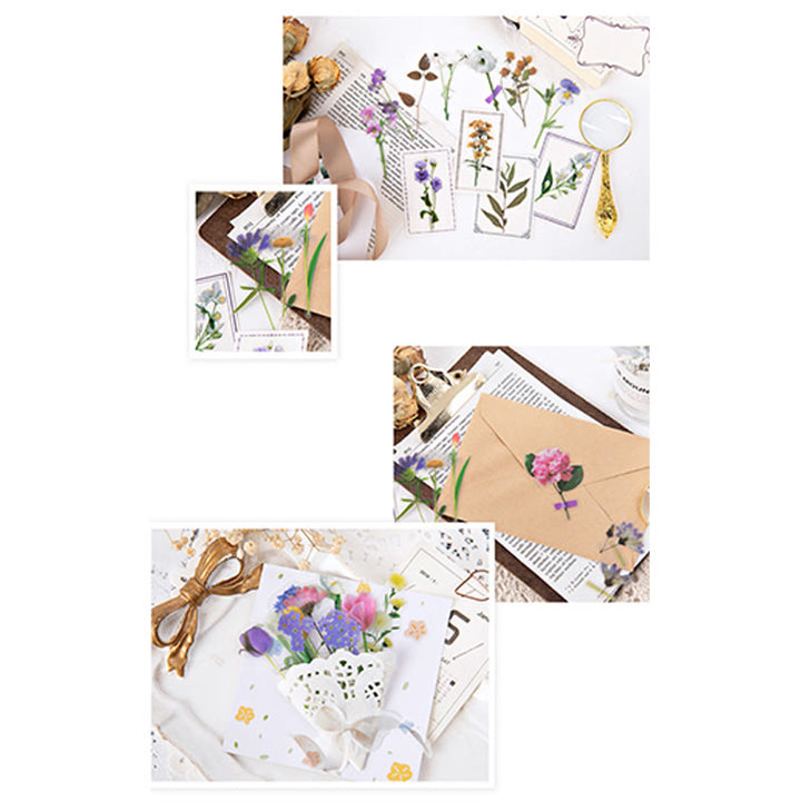 FREE TODAY: Romatic Sea of Flowers Series PET Stickers DIY Journal Sticker Pack