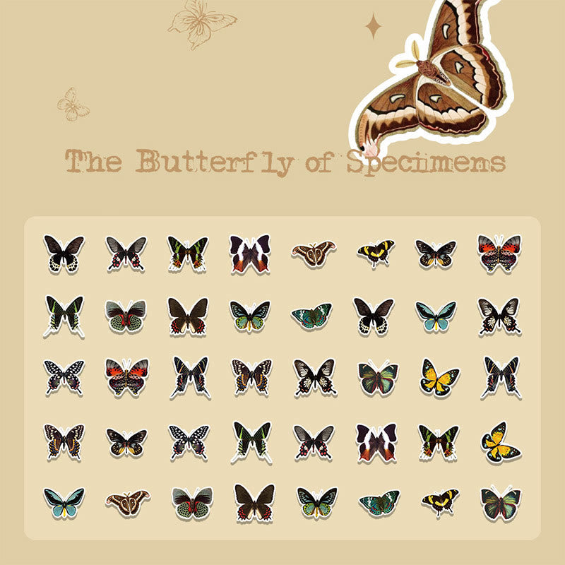 40pcs Pack Butterfly World Series PET Sticker For Journal Decor