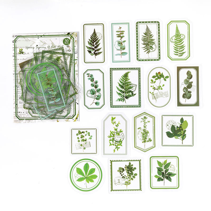 Plant Frame Series PET Sticker For Journal Decor