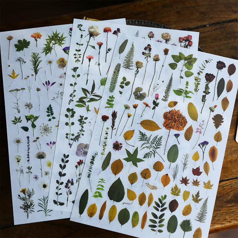 Plant Series Rub On Sticker Floral Transfer Sticker For Crafts