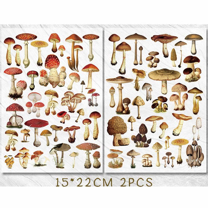 Mushroom Diary Series Rub On Sticker Transfer Sticker For Crafts