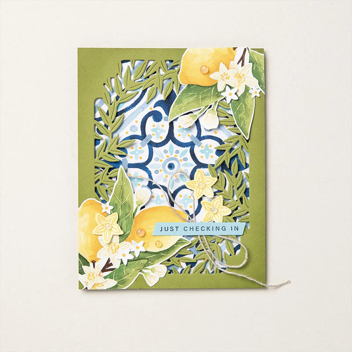 Citrus Blossom Stamp Cutting Dies Set For Handmade Greeting Crafts