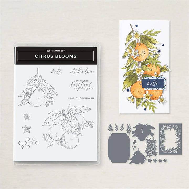 Citrus Blossom Stamp Cutting Dies Set For Handmade Greeting Crafts