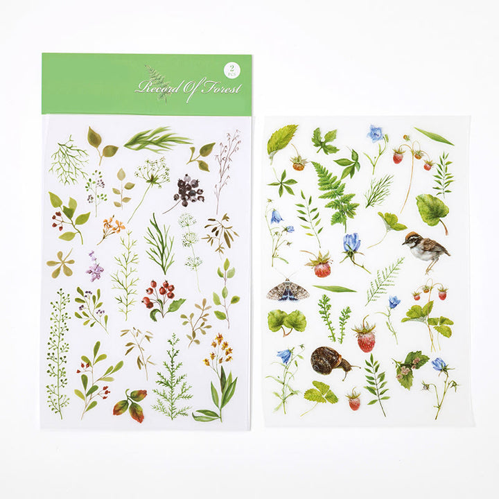 Natural Theme Rub On Transfer Sticker Decals Botanical Scrapbook Stickers