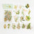 Plant Handwriting Series Scrapbook Sticker For DIY Journal Decor