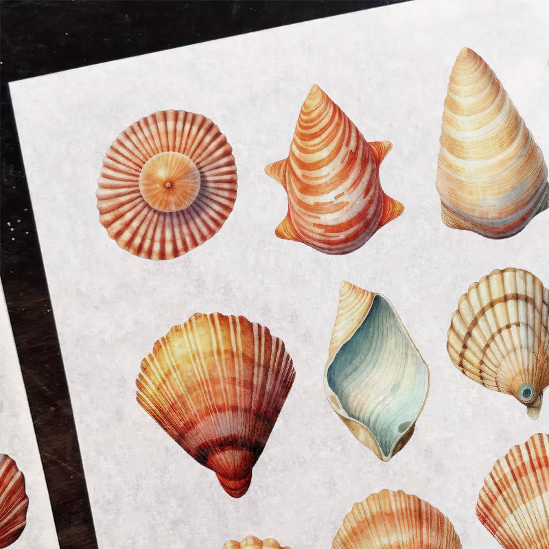 Beach Shells Series Rub On Sticker Transfer Sticker For Crafts