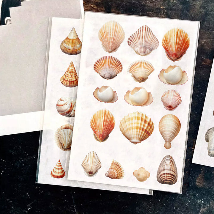 Beach Shells Series Rub On Sticker Transfer Sticker For Crafts