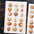 Beach Shells Series Rub On Sticker Transfer Sticker For Crafts