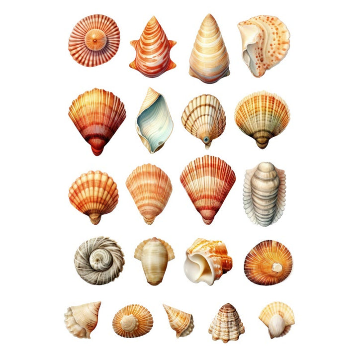 Beach Shells Series Rub On Sticker Transfer Sticker For Crafts