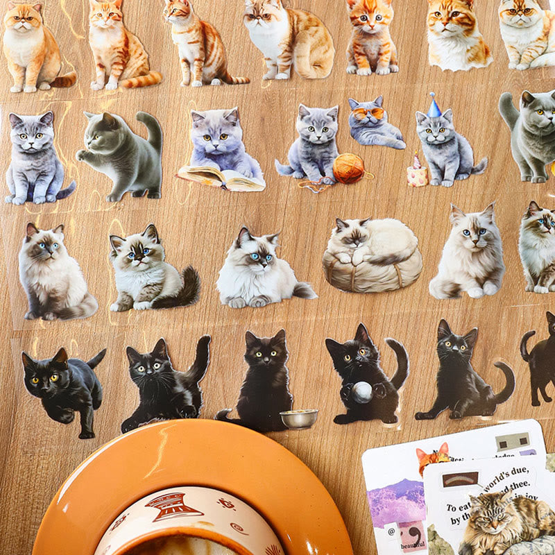 Cute Cat Book Series Tape Loop Sticker For Journal Crafts