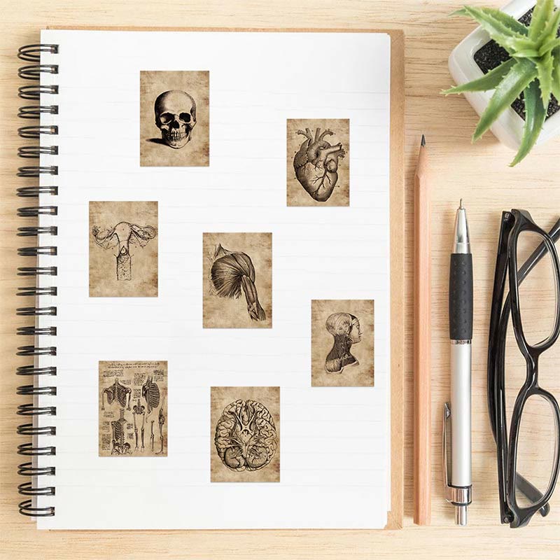 56pcs Human Skeleton Series Graffiti Sticker For Journal Decor