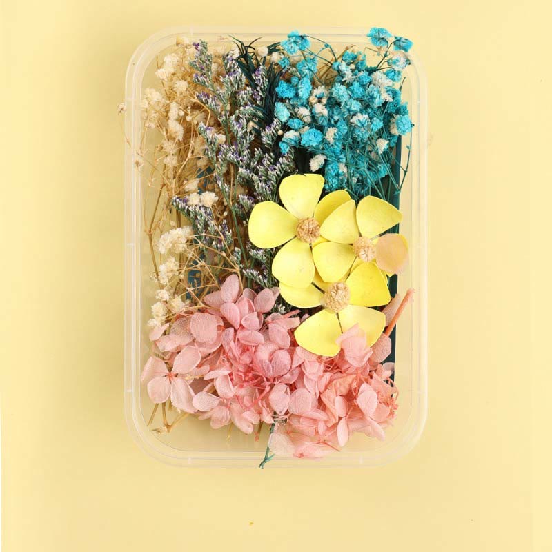 Real Dried Flowers for DIY Craft Mixed Colors Dried Pressed Leaf Flowers