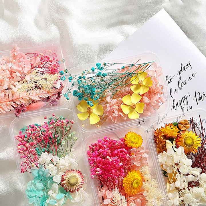 Real Dried Flowers for DIY Craft Mixed Colors Dried Pressed Leaf Flowers