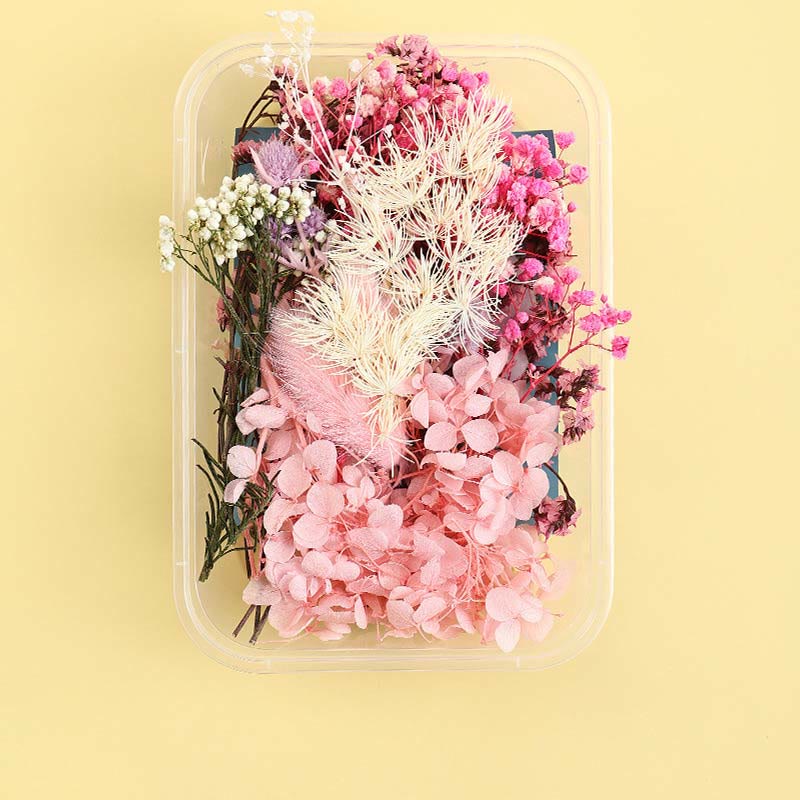 Real Dried Flowers for DIY Craft Mixed Colors Dried Pressed Leaf Flowers