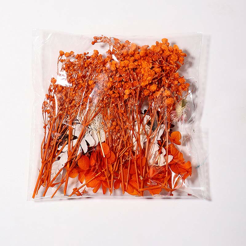 Real Dried Flowers for DIY Craft Mixed Colors Dried Pressed Leaf Flowers