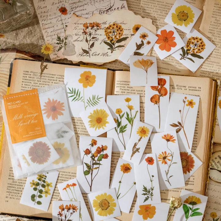 Spring Flower House Series PET Stickers For Decorative Journaling Crafts