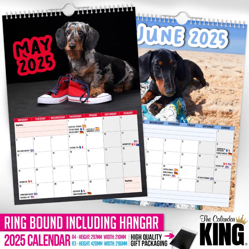 2025 Cheeky Dachshunds Lunar Calendar 12 Months Calendars New Year Gift