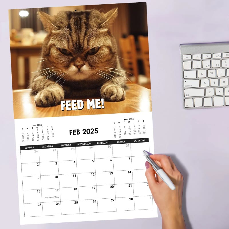 2025 Funny Cat Wall Calendar 12 Months Calendars New Year Gift