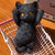 Cute Raised Hand Kitten Squishy Toy For Stress Relief Party Favors