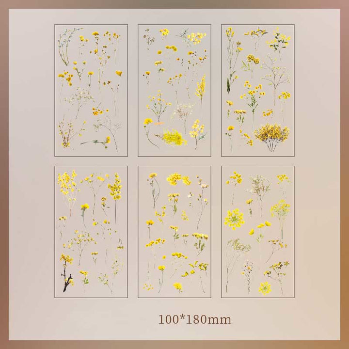 Natural Plants Floral Stickers Daisy Rose Lavender Eucalyptus