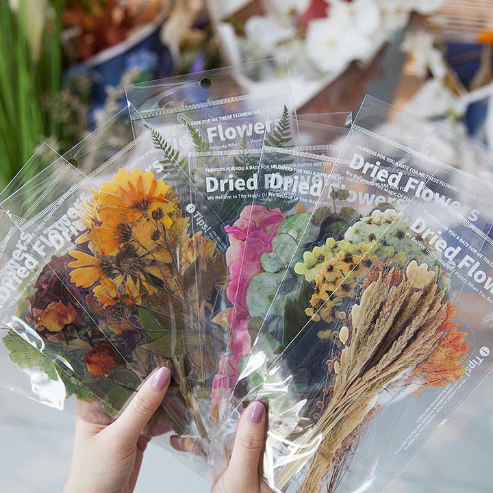 6pcs 1 Set PET Plant Series Sticker For DIY Diary