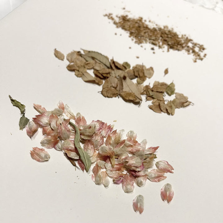 Dried Flowers And Leaves for Scrapbook DIY Craft Junk Journaling Supplies