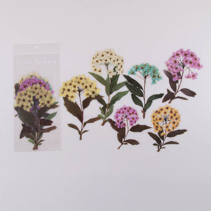 6pcs 1 Set PET Plant Series Sticker For DIY Diary