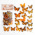 Butterfly Nature Series PET Sticker Set For Journal Decor