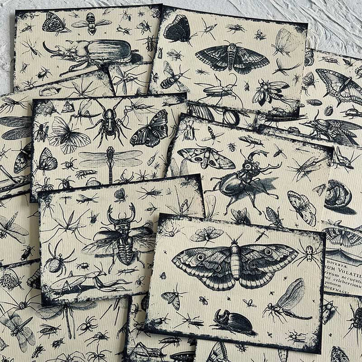 Black And White Insect Forest Series Paper Decorative Journaling Paper