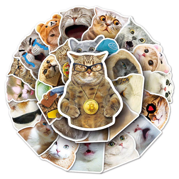 Funny Cats Emoji Stickers 50pcs Vinyl Waterproof Sticker