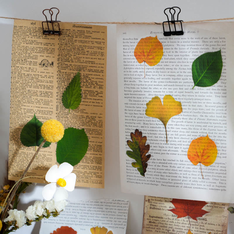 The Secret Language Of Leaves Sticker For DIY Journal Decor