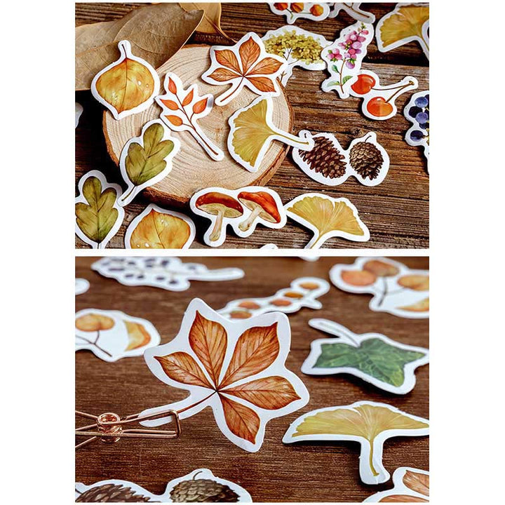 46pcs Leaves Are Falling Series Sticker For DIY Journal Decor