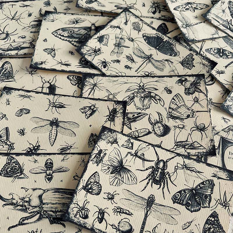 Black And White Insect Forest Series Paper Decorative Journaling Paper