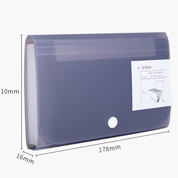 Transparent Organ Storage Bag Portable Multifunctional Bills Files Folder