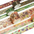 6 Rolls Set Autumn Series Washi Tape Decorative Scrapbook Tape