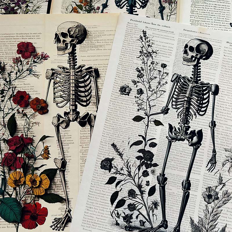 Dark Anatomy Series Paper Set Decorative Journaling Paper