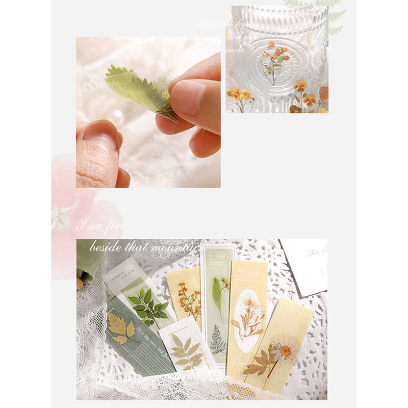 45Pcs Flower Language Series PET Clear Stickers 6 Styles