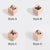 Forest Specimen Series 16 Styles Wooden Rubber Stamps Butterfly Mushroom Insect