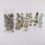 6pcs 1 Set PET Plant Series Sticker For DIY Diary