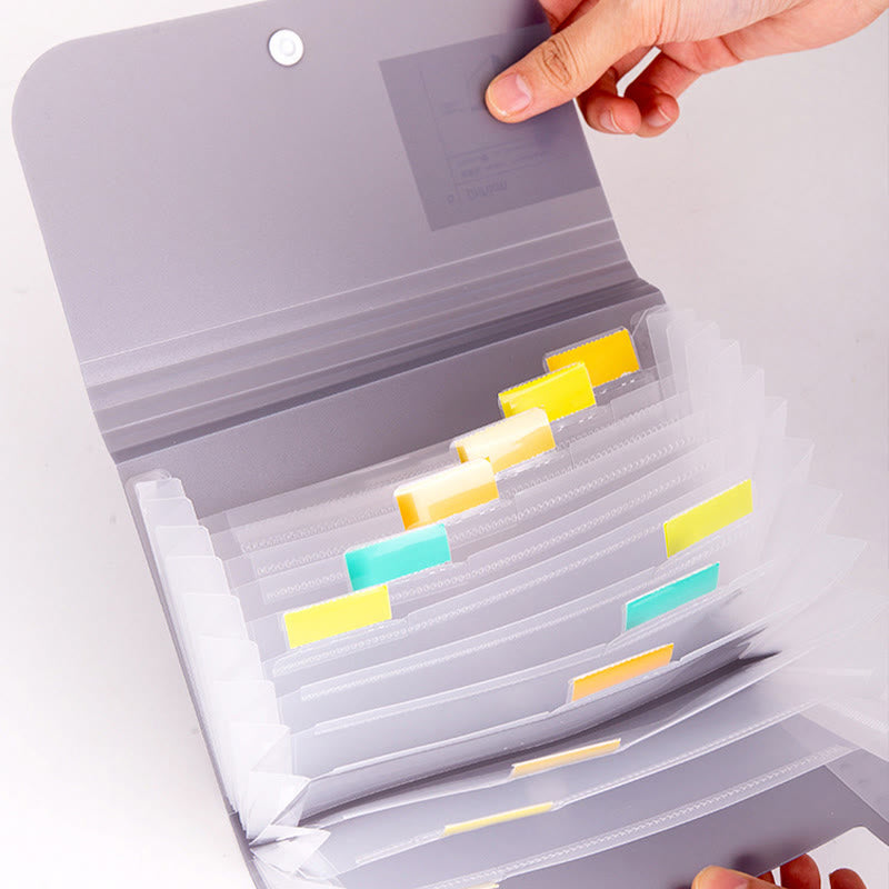 Transparent Organ Storage Bag Portable Multifunctional Bills Files Folder